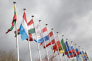 Des drapeaux européens flottent dans le vent pour illustrer l'aide apportée aux nouveaux arrivants internationaux par la Direction des relations internationales de l'université.